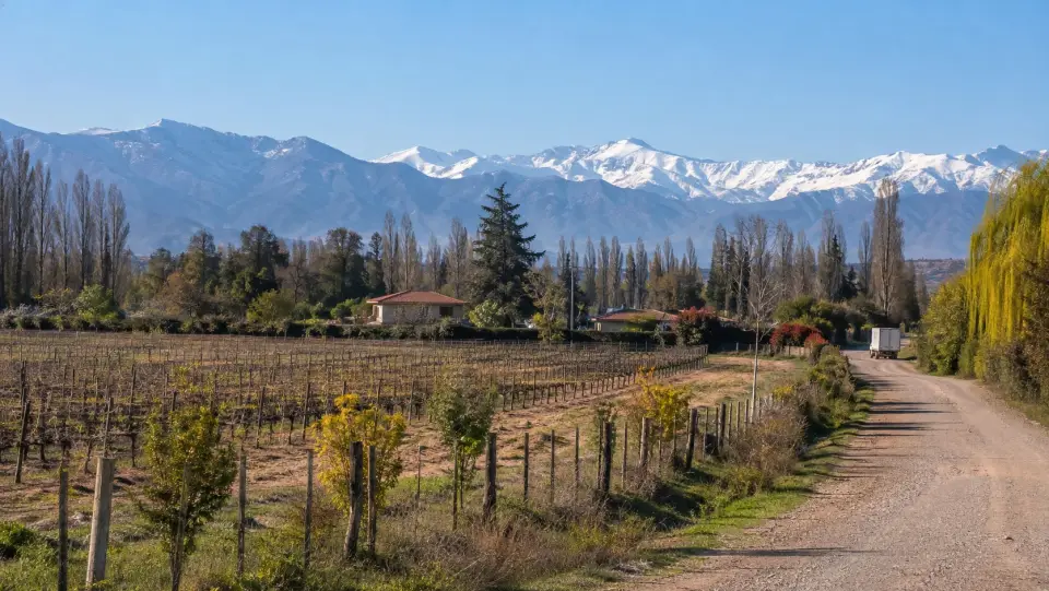 Parcelas entre viñedos y álamos del valle del Maipo, con la cordillera nevada al fondo